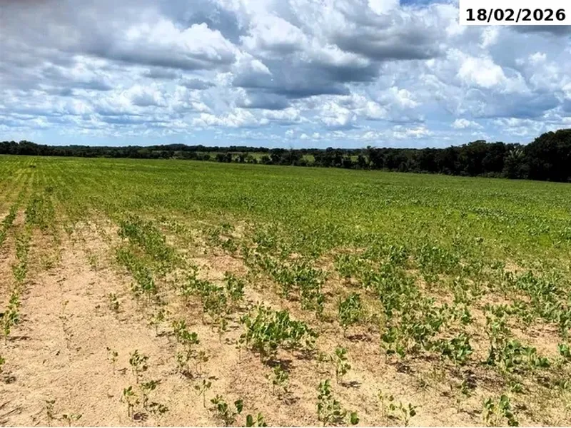 Imóvel rural em leilão