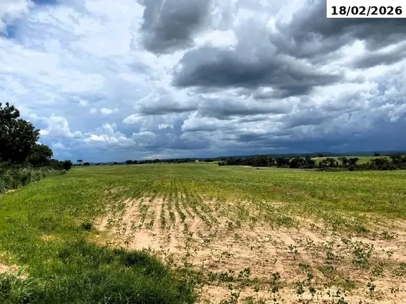 Imóvel rural em Leilão Judicial