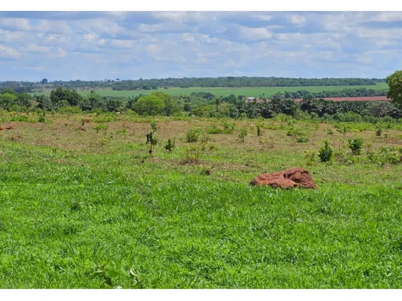 Imóvel rural em Leilão Judicial