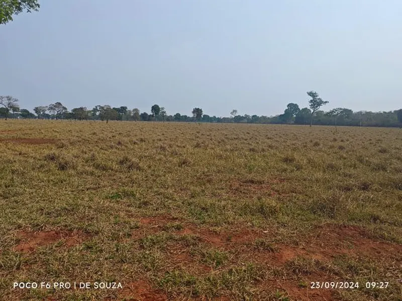 Imóvel rural em Leilão Judicial
