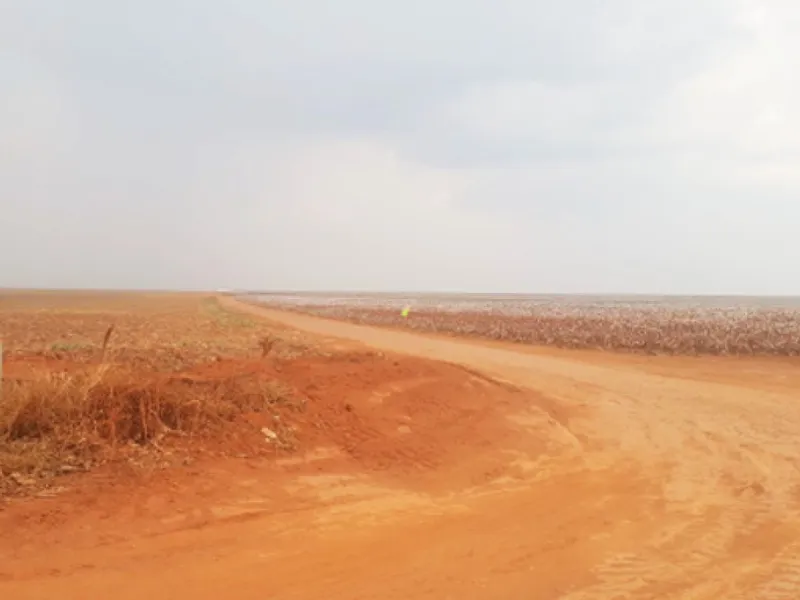 Imóvel rural em leilão