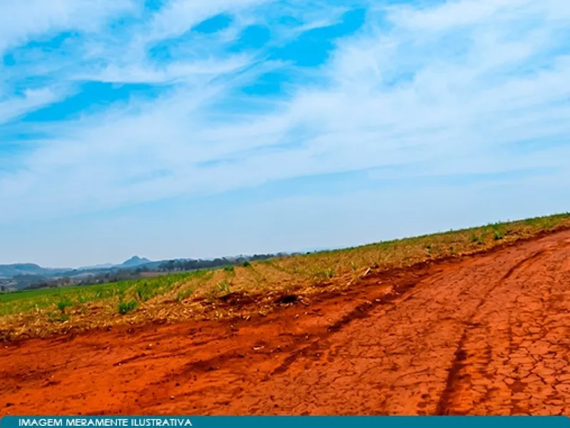 Imóvel rural em leilão