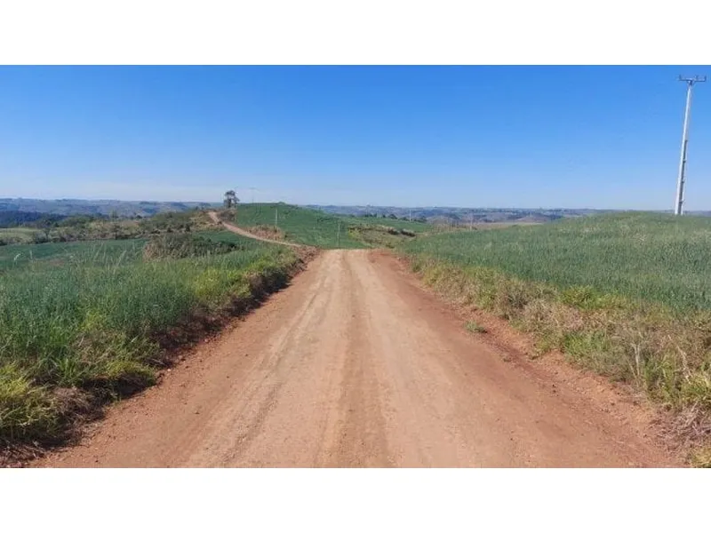 Imóvel rural em leilão