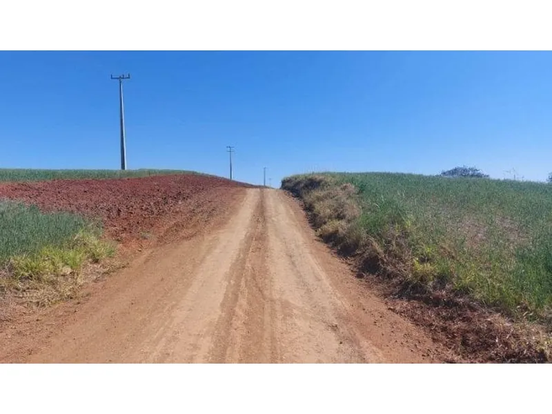 Gleba em leilão