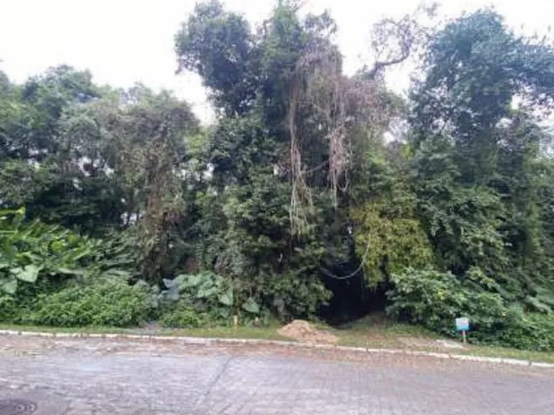 Terreno em leilão