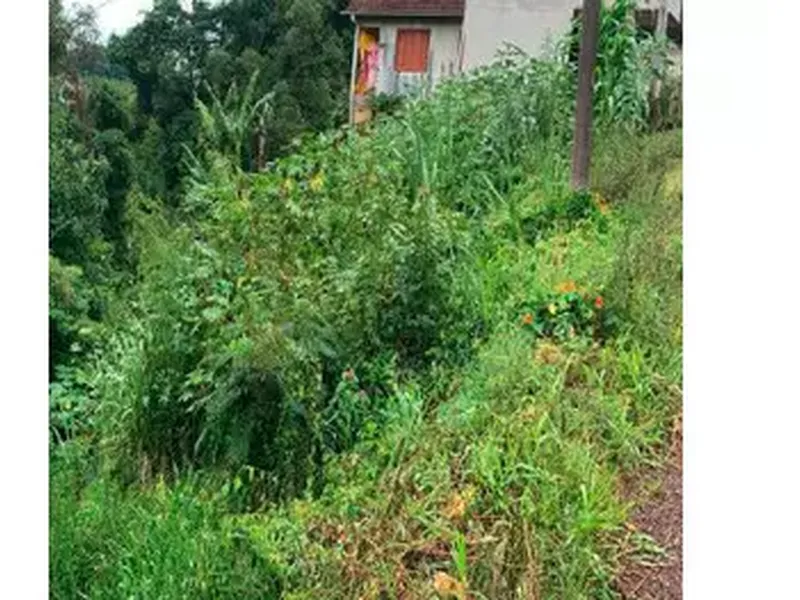 Terreno em leilão