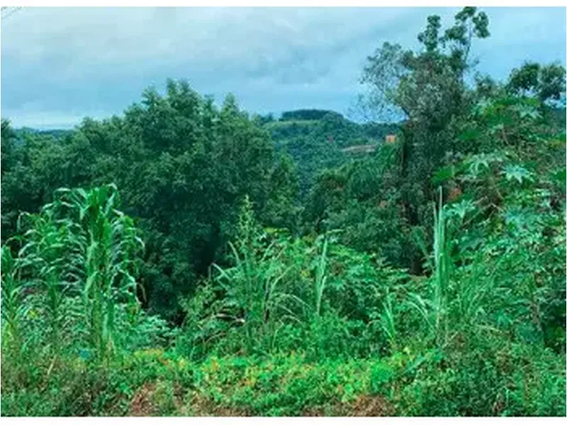 Terreno em Leilão Extrajudicial