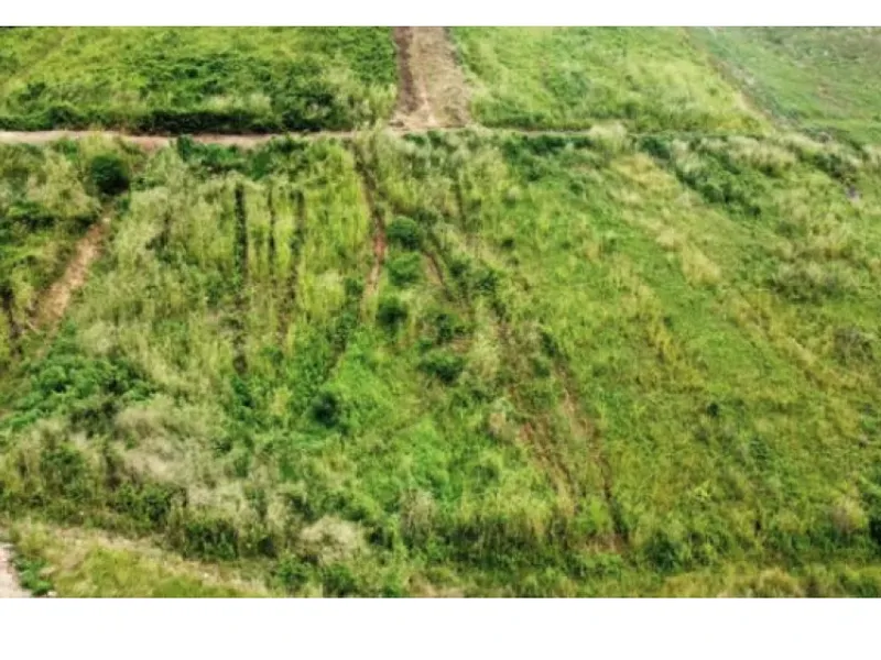 Terreno em leilão