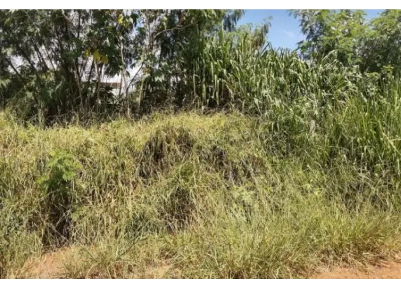 Terreno em leilão