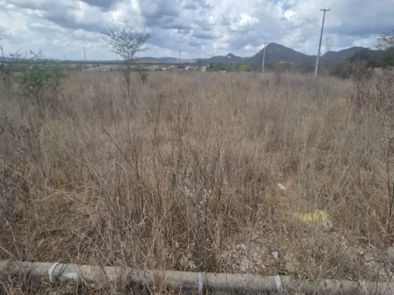 Terreno em leilão