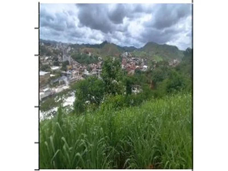 Gleba em Venda Direta