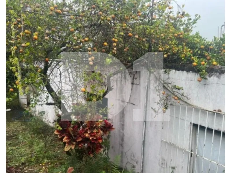 Imóvel rural em leilão