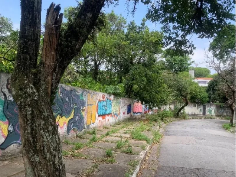 Terreno em leilão