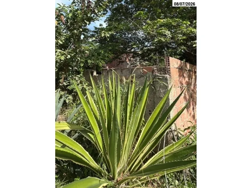 Casa em leilão