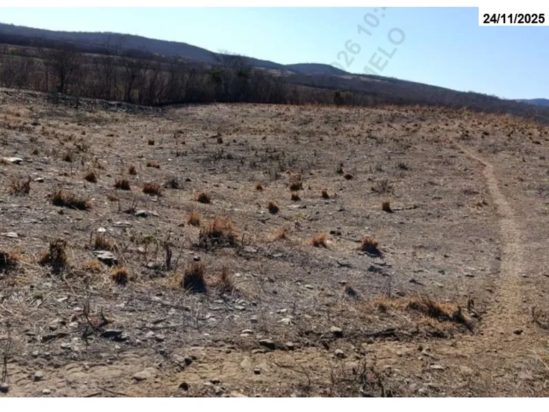 Imóvel rural em leilão