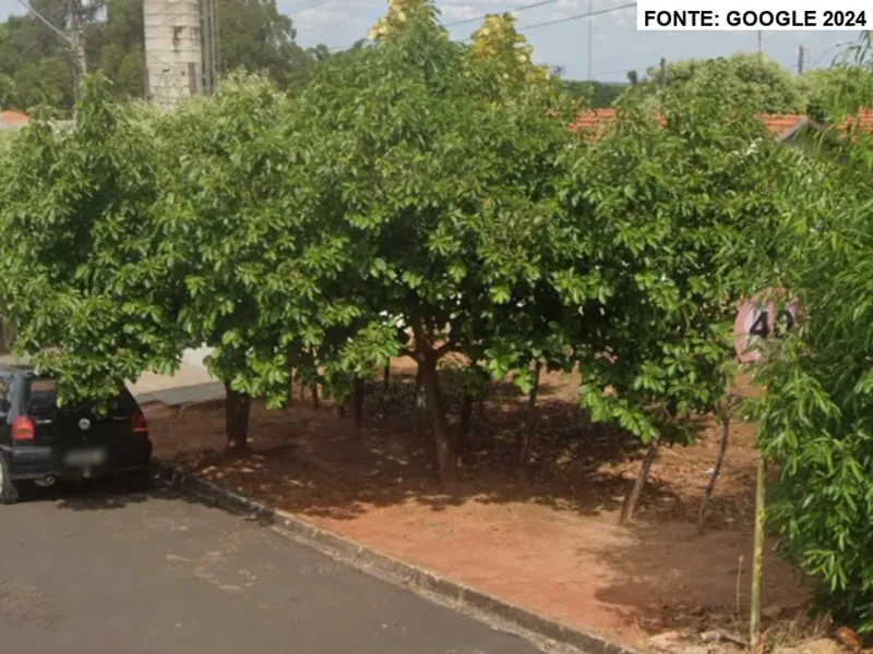 Terreno em leilão