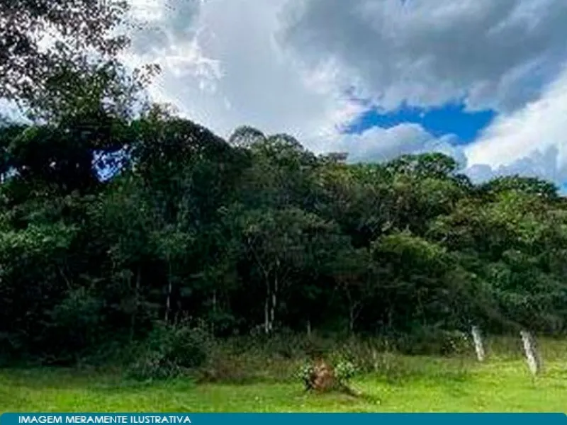 Outros em Leilão Judicial