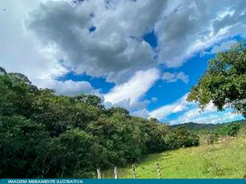 Outros em leilão