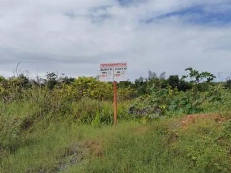 Outros em leilão