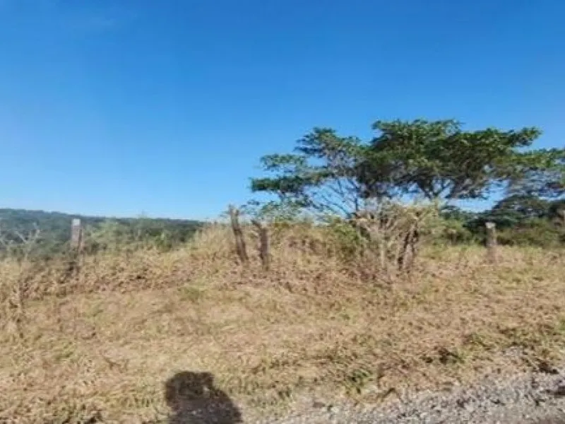 Terreno em leilão