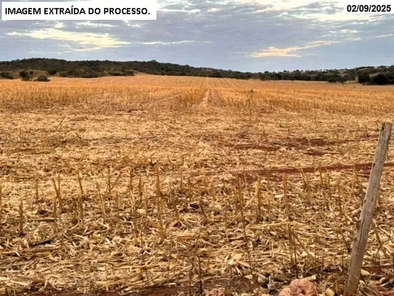Imóvel rural em leilão