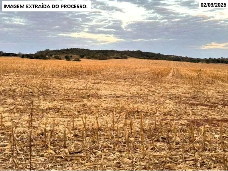 Imóvel rural em leilão