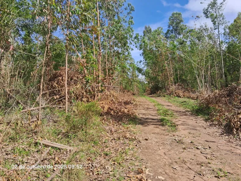 Terreno em leilão