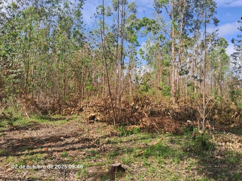 Terreno em leilão