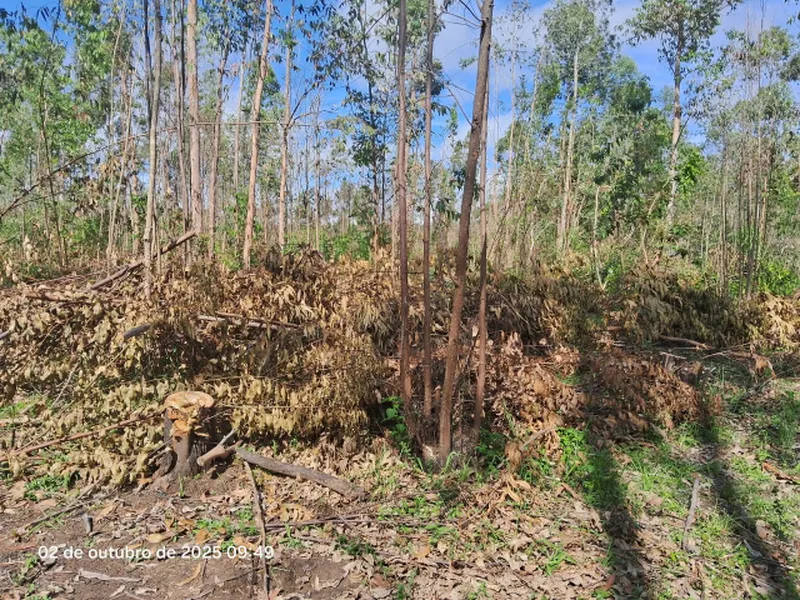 Terreno em leilão