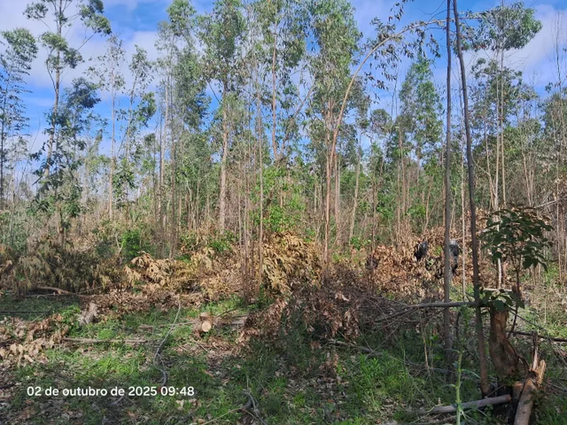 Terreno em Venda Direta