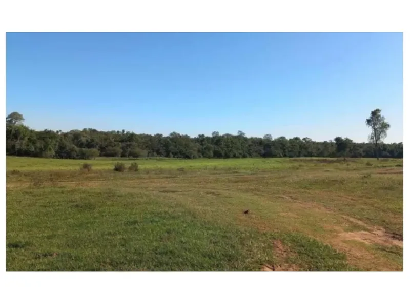 Imóvel rural em leilão