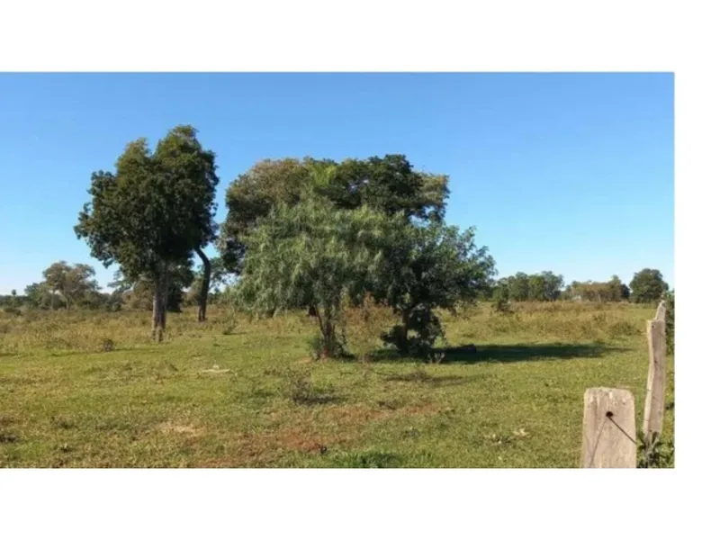 Imóvel rural em leilão