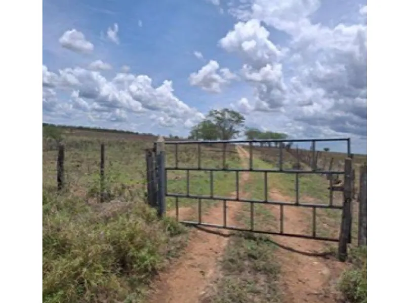 Imóvel rural em leilão