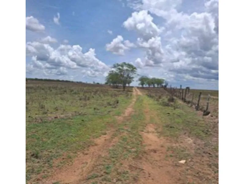 Imóvel rural em leilão