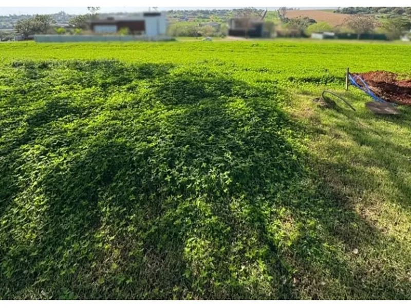 Terreno em Venda Direta