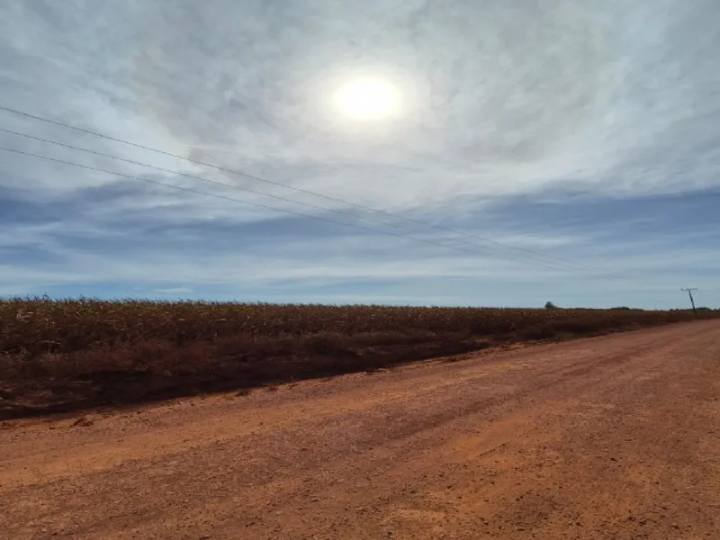 Imóvel rural em leilão