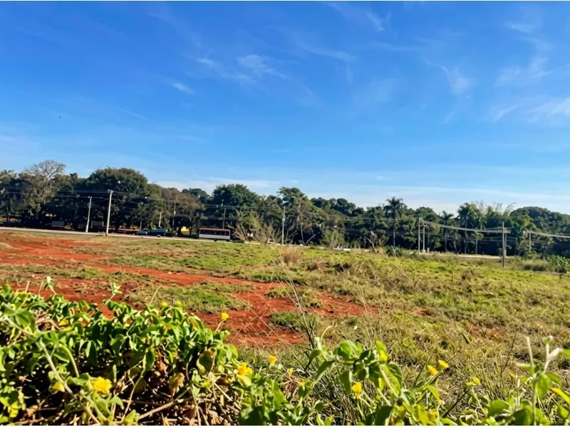 Terreno em leilão