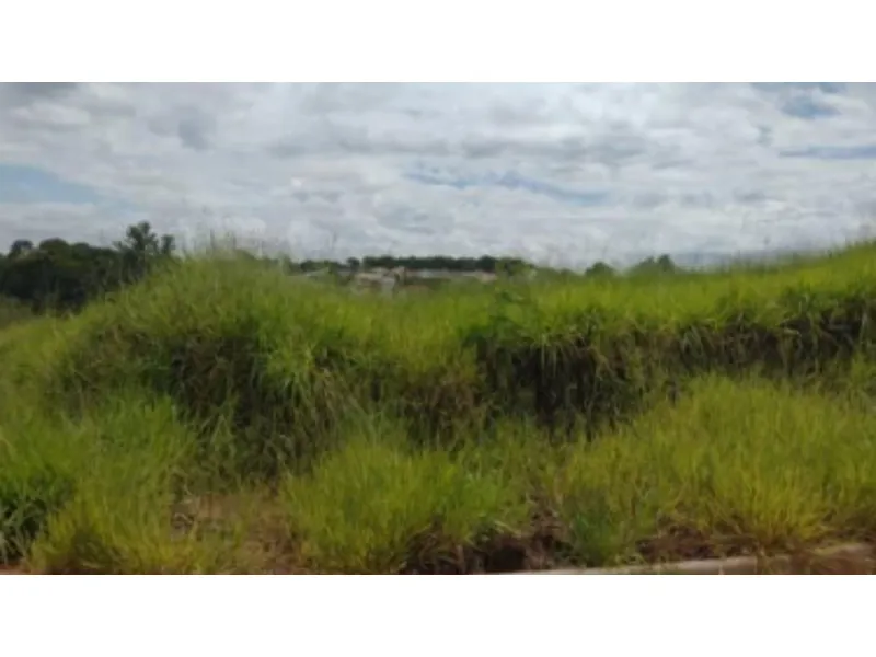 Terreno em leilão