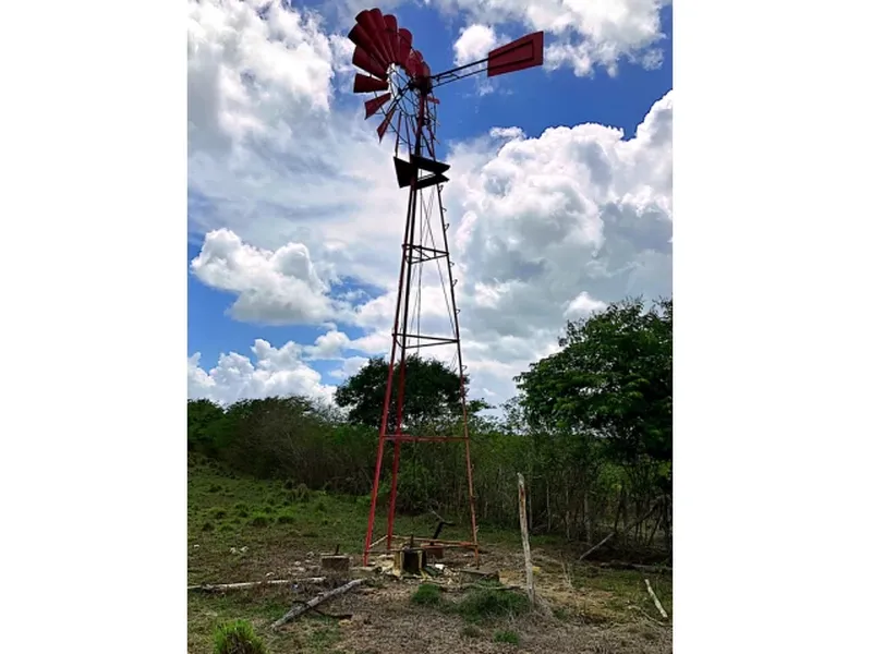 Imóvel rural em Leilão Extrajudicial