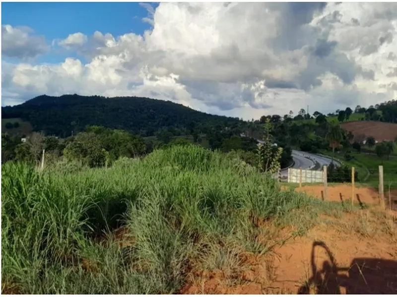 Imóvel rural em Leilão Judicial