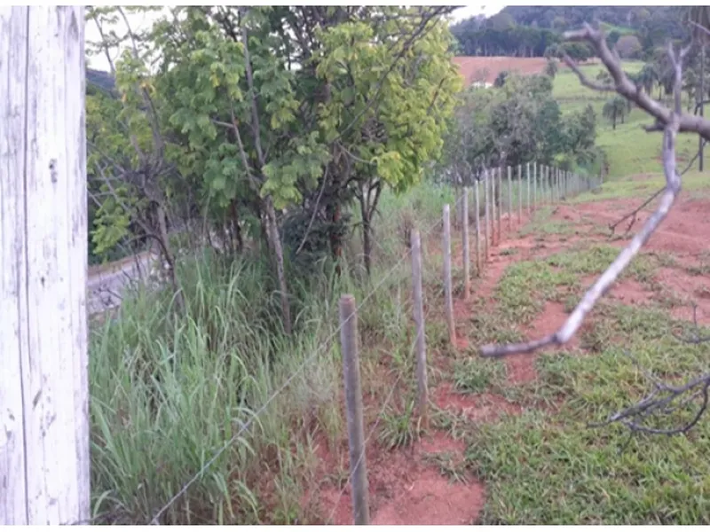 Imóvel rural em Leilão Judicial
