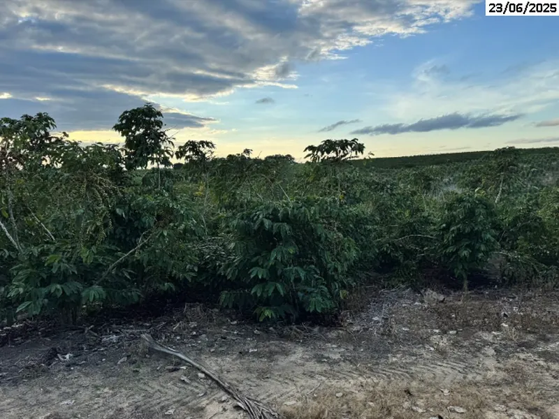Imóvel rural em leilão