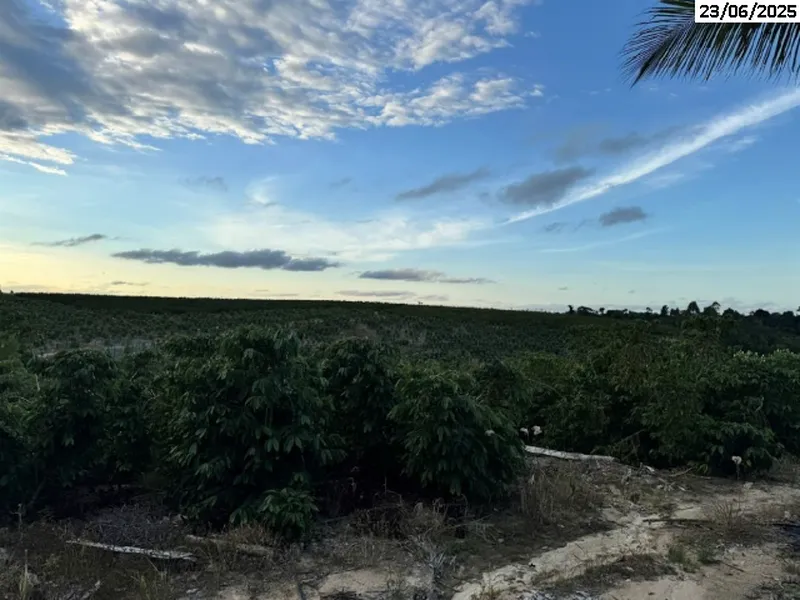 Imóvel rural em leilão