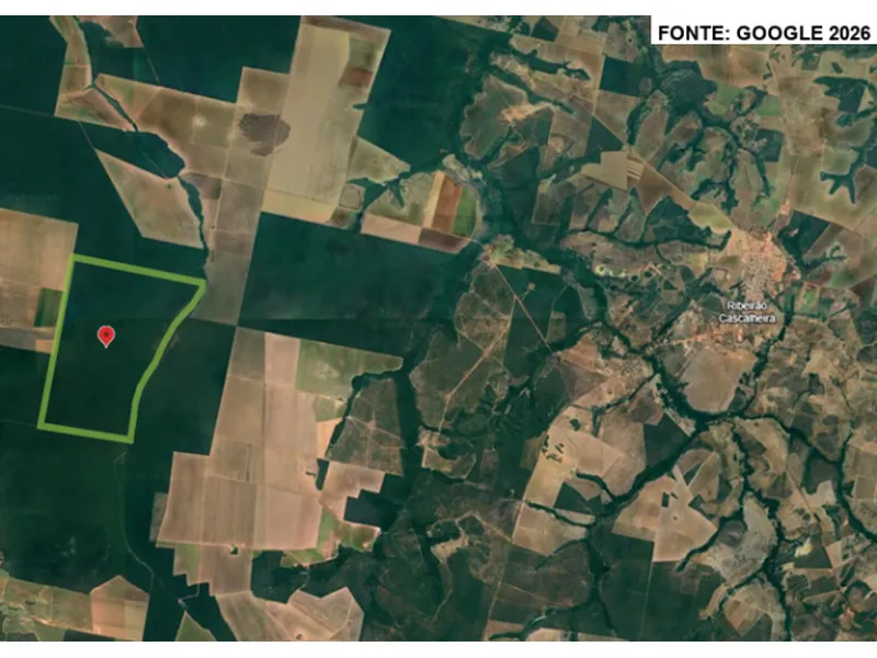 Imóvel rural em Leilão Judicial