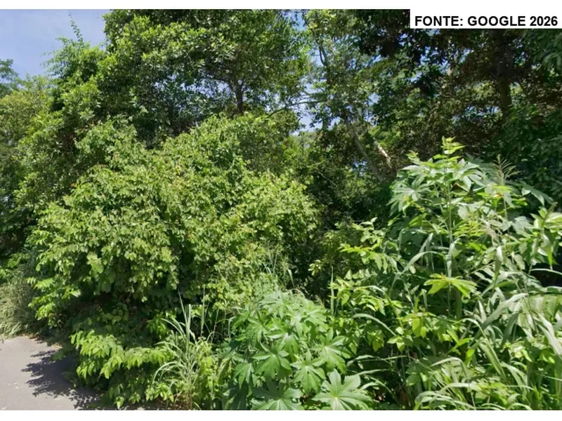 Terreno em leilão