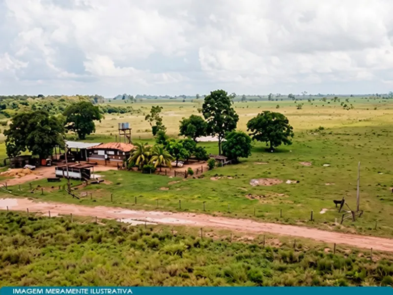 Imóvel rural em Leilão Judicial