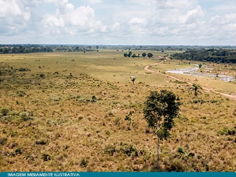 Imóvel rural em leilão