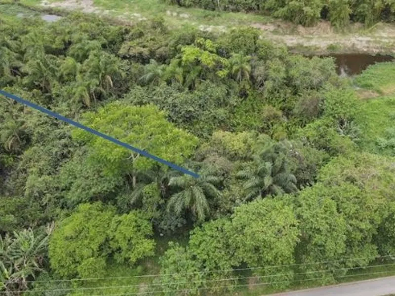 Terreno em leilão