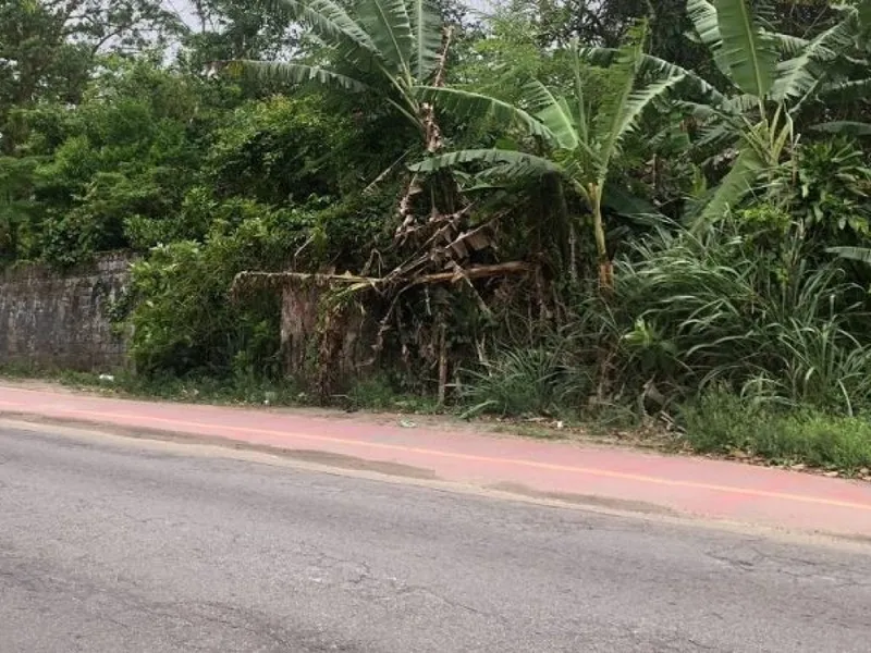 Terreno em leilão