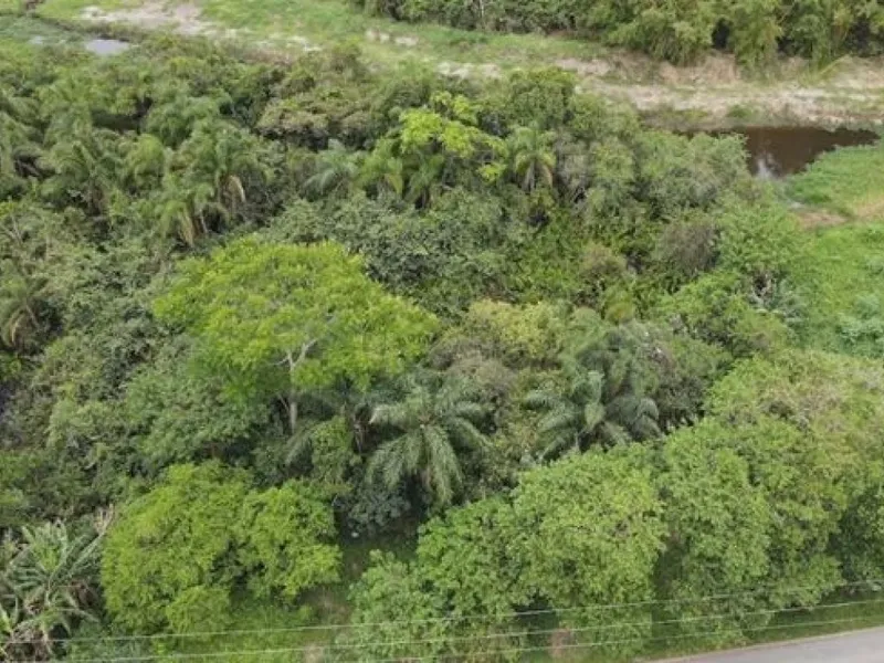 Terreno em leilão